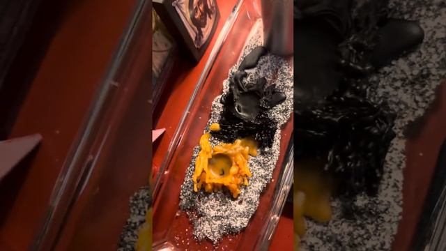 Смотрим, что сошло