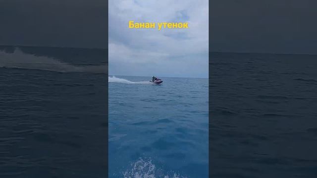 Банан,таблетка,гидроциклы,sup Board