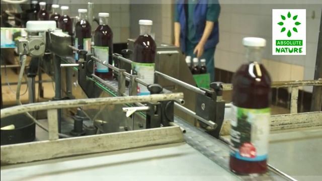 «Живые соки»: история успеха