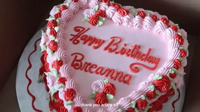 DAILY VLOG | 20th Birthday Vlog: Grwm, Pinterest Cake, A Day In The City & More ?