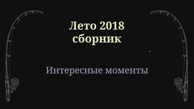 Summer Stories 2018.