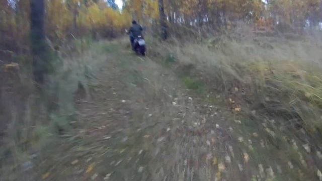 BSE KIDS PRO-90 // Детский питбайк // Mini Motorcycle