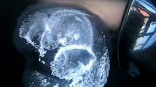 Технические особенности автомобилей: испытания на пределе