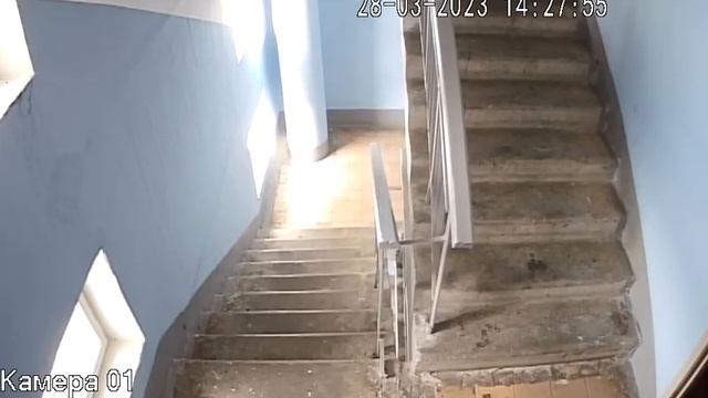 Камера FX-C2P в режиме CVBS (аналог.)