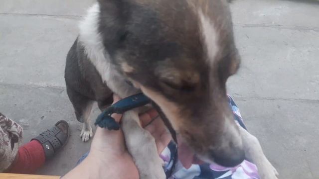 НАВЕС СОСЕДЯМ НА ЗАВИСТЬ, СВОИМИ РУКАМИ // Деревенская жизнь // @наши будни //@канал Равиль И Света