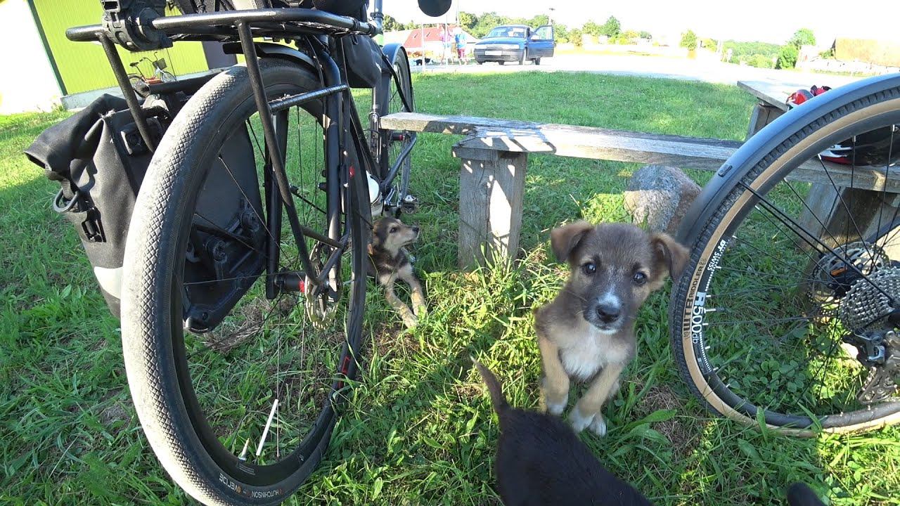 Просто покатались.