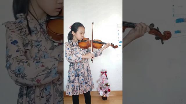 Minuet In G - L. Van. Beethoven