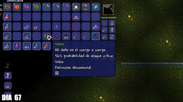 PASE 100 DIAS USANDO YOYOS EN TERRARIA MODO MAESTRO