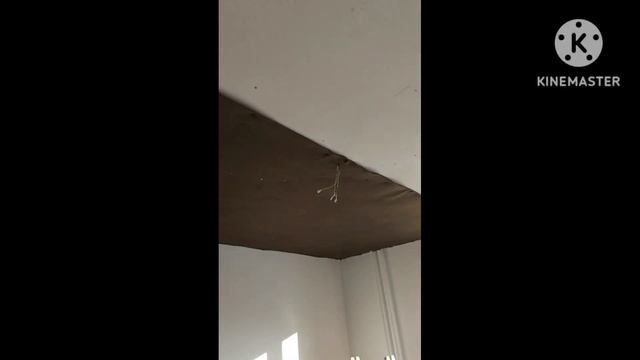 Шумоизоляция  потолка