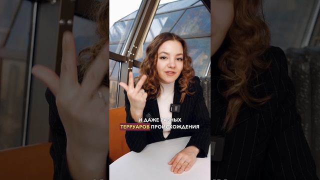 ReelsBanda: экспертный рилс для сомелье ресторана White Rabbit