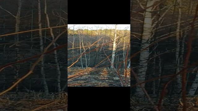 0992e252f0189d341ea6eecd912cea6a