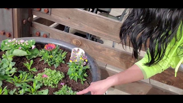 Spring Containers Part ✌🌱🌷