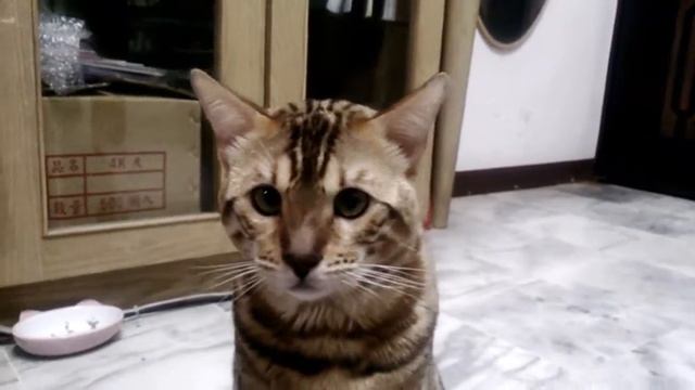 A32a979ca83c9ba275c1c9735b7fb776