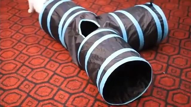 Тоннель для кошек шуршаший с мячиком