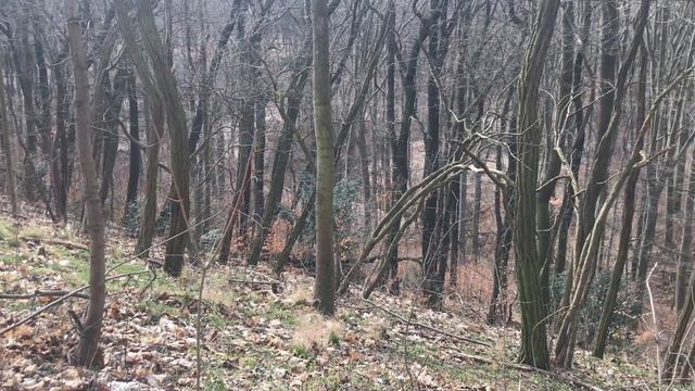 Как работает интуиция. Когда приходит помощь с тонкого плана