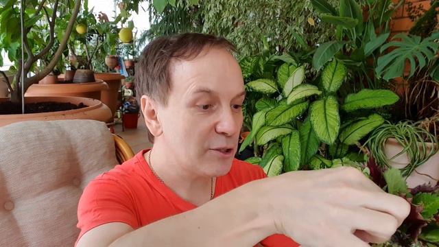 Век живи, век учись...