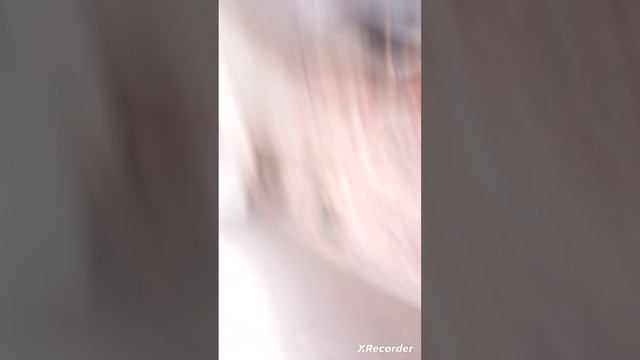 XRecorder_Edited_15052024_203541