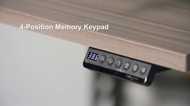 Adjustable Single Motor Standing Desk Frame | Economy Ryzer | Progressive Desk