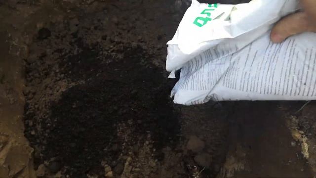 Как подготовить яму для винограда.