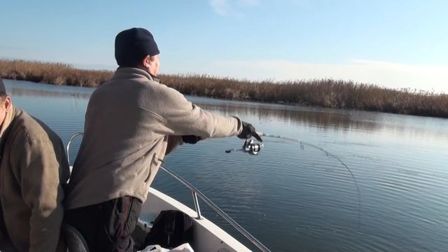 Видео о рыбалке в Астрахани на раскатах. Ловля щуки на крупные воблеры и джерки.