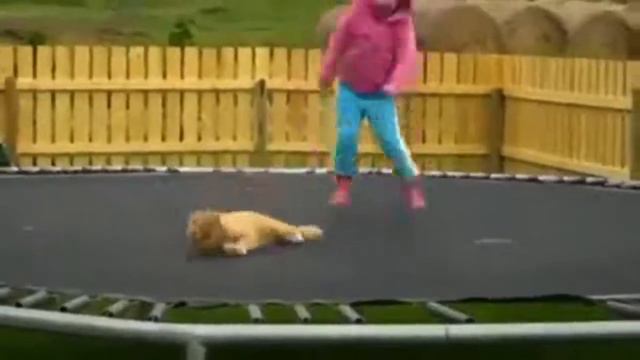 Растить детей — очень весело!