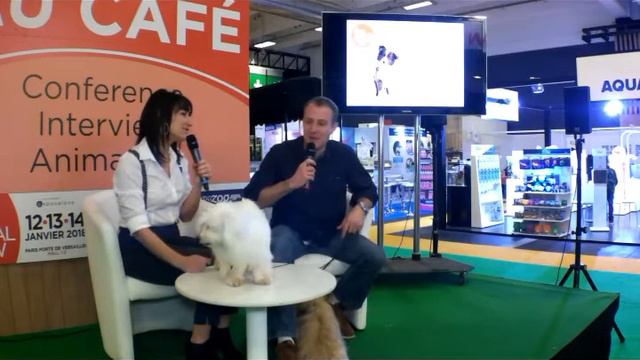 Présentation Chiens De Race : Bichon Havanais, Carlin Et Coton De Tulear