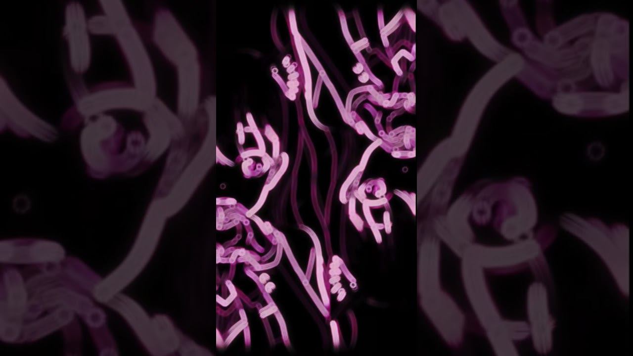 XloxeD エタニティ - Neuron