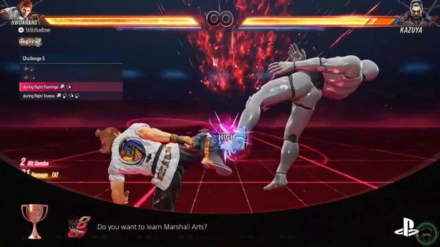 Tekken 8 All Trophy Highlights (PS5)