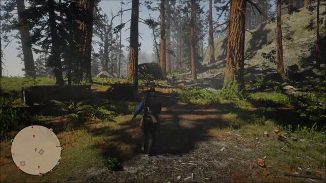 RDO - American Ginseng At Bear Claw