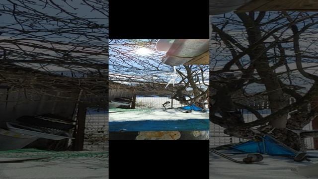 6e31dac7f70b6d8ff6868f133e932f82