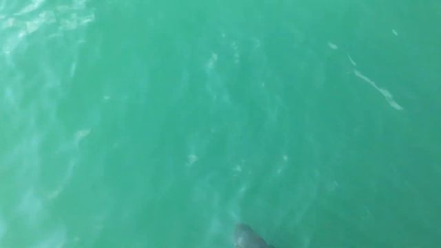 Ff83496ebffc14b16d8a9cf34f6eebad