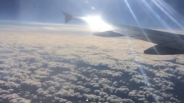 Плавные Контуры