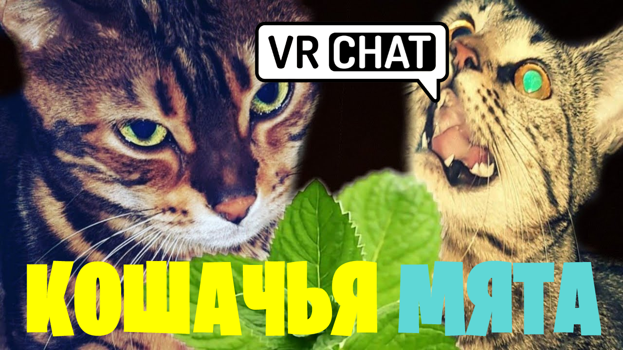 Собака улыбака!