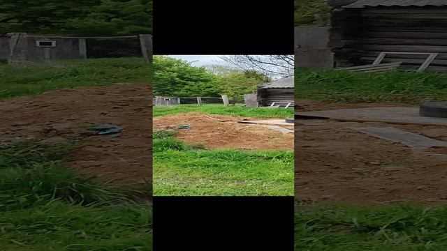 Деревенский пежон