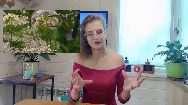 551428890bc9caf8bf0ab2c96394a70d