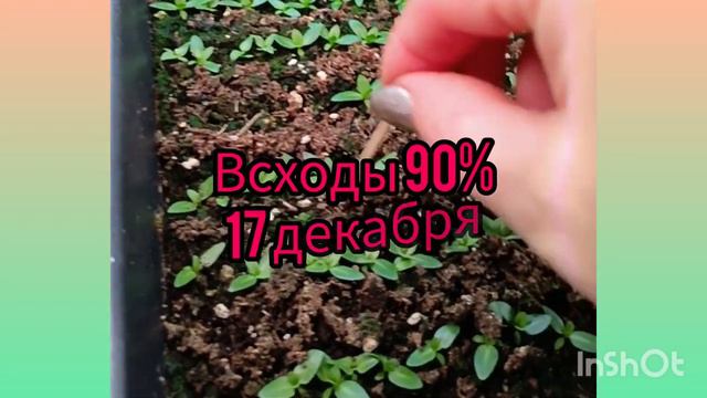 E009fba2d2d0ed2869b336277393f4e0