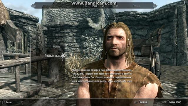 Скайрим-прохождение (1) 