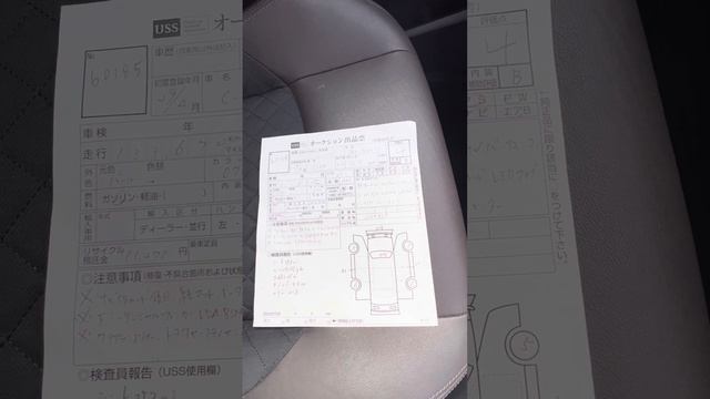 Жизнь в обновленной обстановке