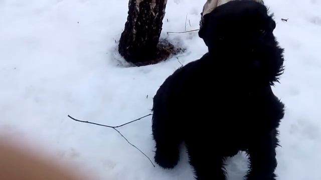 Ac62117712fe3e2d5e03033f492b2cb7