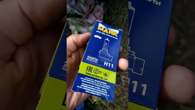 Жизнь в Гармонии с Дизайном