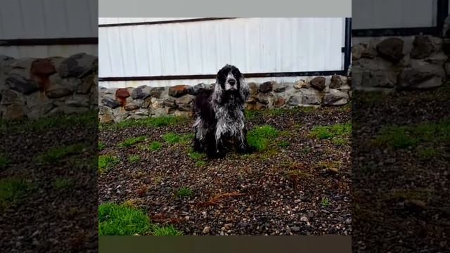 Клёна в гостях