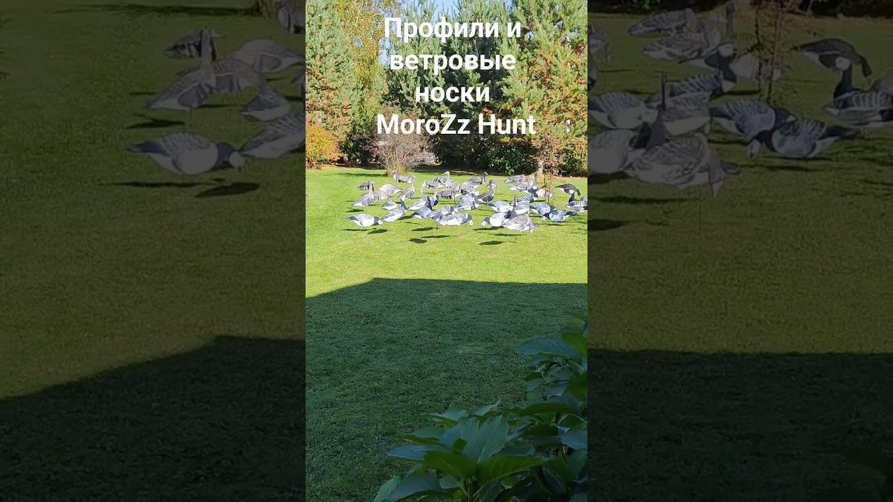 26 сентября 2023 г.