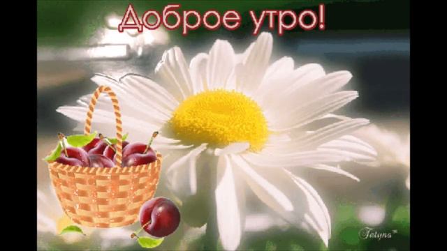 Доброе  утро  Diana  Параллели