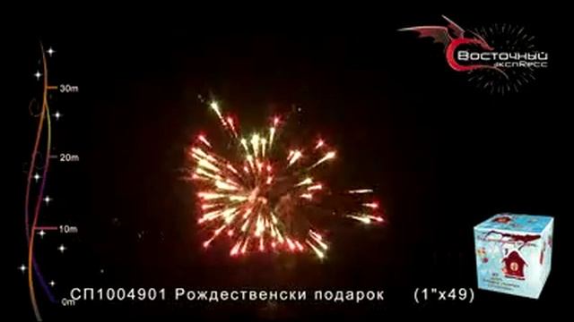 СП1004901 Рождественский подарок