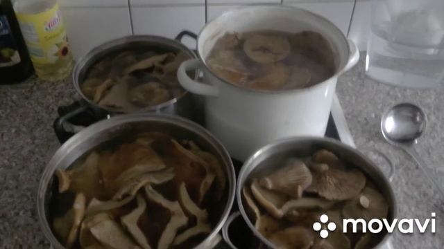Засолка Грузди по домашнему или как за консевировать грибы