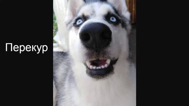 GTA5 Grand Rp 4 День Начало!!! #grandrp #gta5rp #gta5rp Grandrp,Выбил Мотак за 1.5 кк