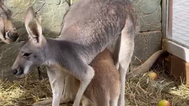 5712289a49ebd4020bed9ead09f53f14