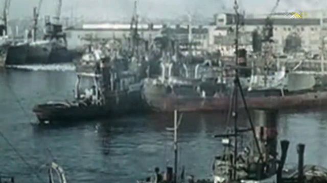 Cd01c53a161ddbb1490c41bf13dd0d63