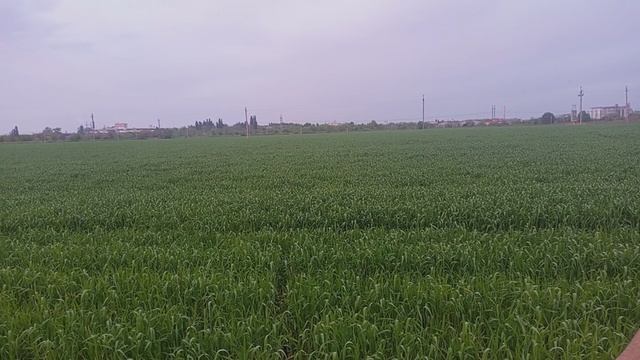 Трансформация организма (часть 2).