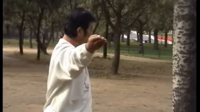 Fundamentals Of Bagua Yin Shi  8 Palms